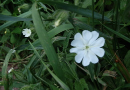 P7205237