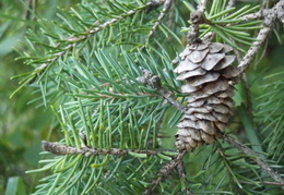 P7225361