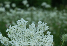 P7305739
