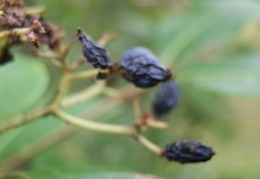 P9260510