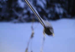 P1064270