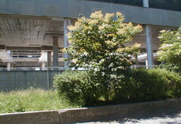 p1010010