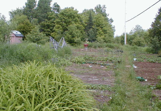 IMAGE005 (66 visits) IMAGE005