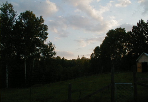 IMAGE023 (65 visits) IMAGE023