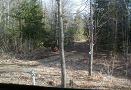 IMAGE008