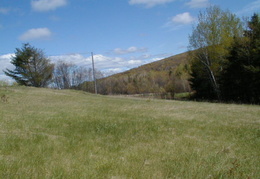 IMAGE092