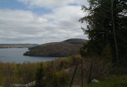 IMAGE006
