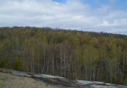 IMAGE002