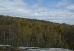 IMAGE003