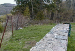 IMAGE008