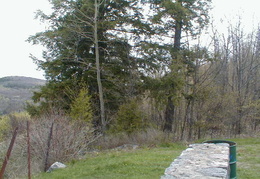 IMAGE007