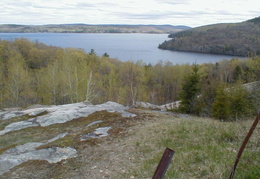 IMAGE010