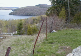 IMAGE009
