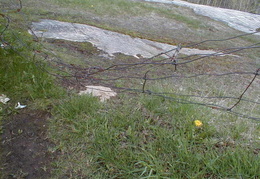 IMAGE022
