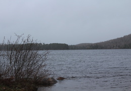 IMG_0767.CR2