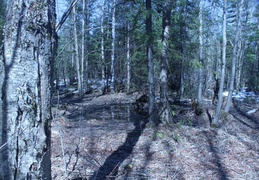 IMG_6973.CR2