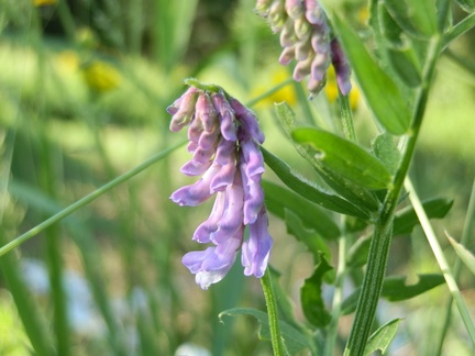 P6213025