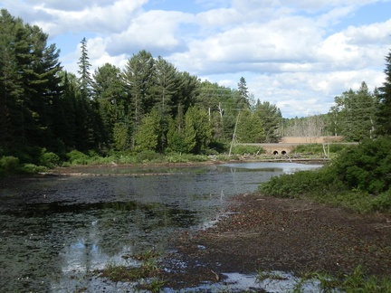 P6223242