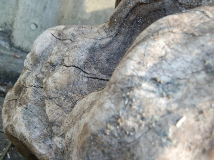 P6243424