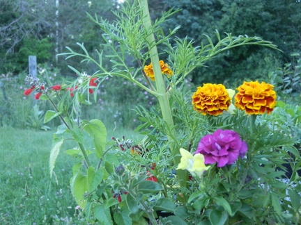 P6293637