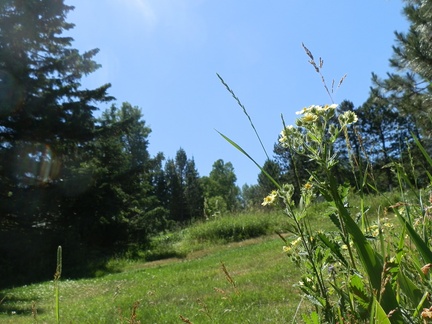 P6293618
