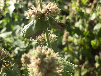 P8226803