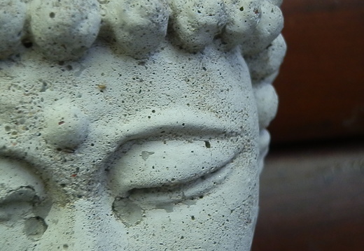 P8236910