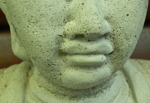P8236932