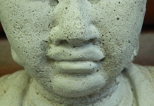 P8236934