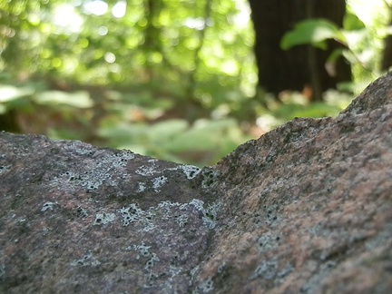 P8247141