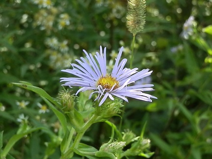 P8247303