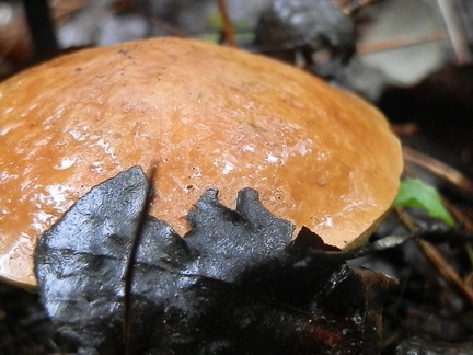 P8308010