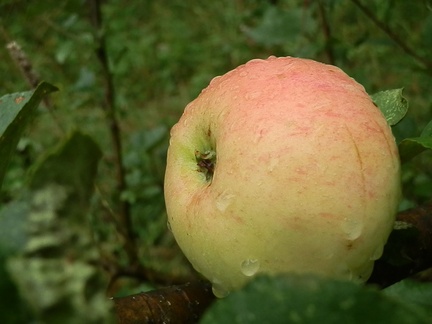 P8308749