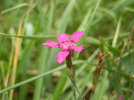 P7023783