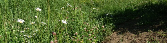 P7033859