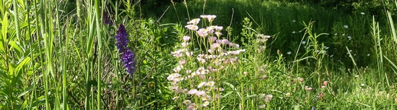 P7033858
