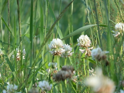 P7044012