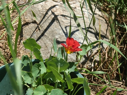 P7054033