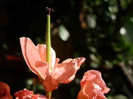 P7054061
