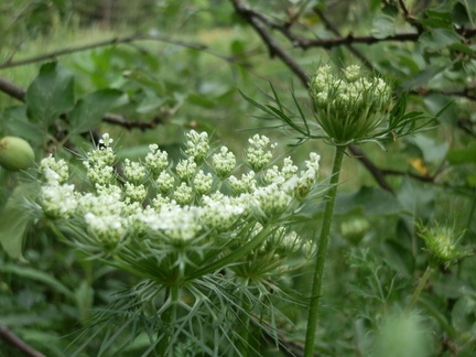 P7084307