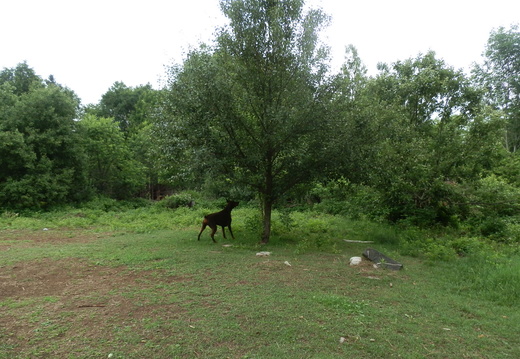 P7084210