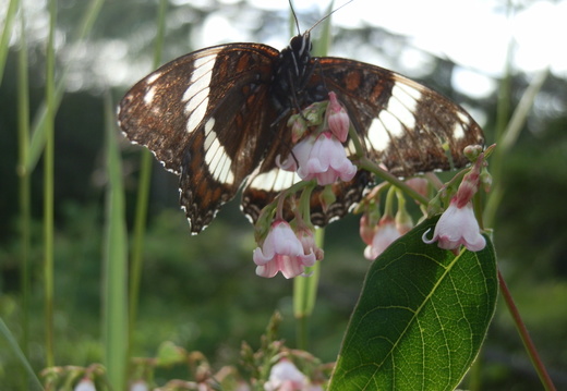 P7104537