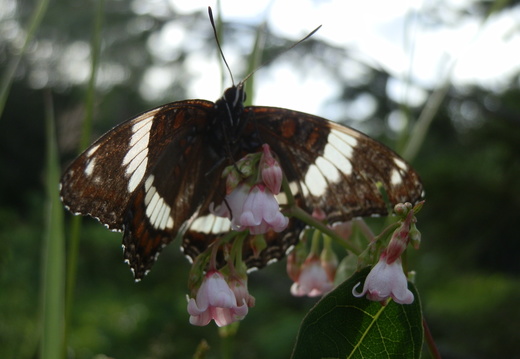 P7104538