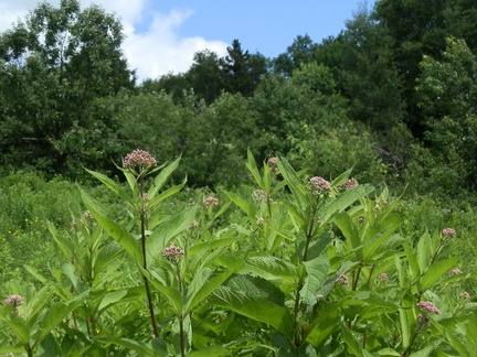 P7104448