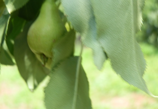 P7124694