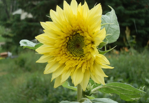 P7144744