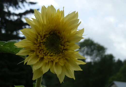 P7144745