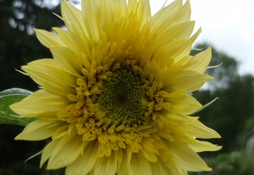 P7144746
