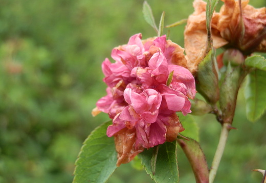 P7144751