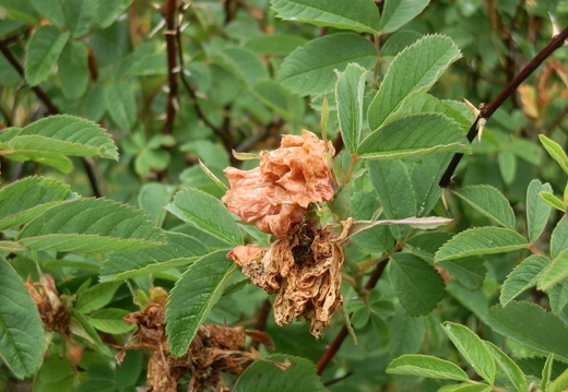 P7144758